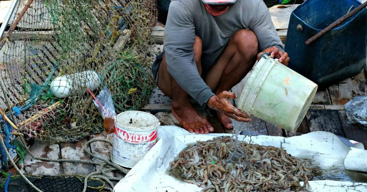 Sepuluh Sektor Pekerjaan Terbesar di Indonesia pada 2025