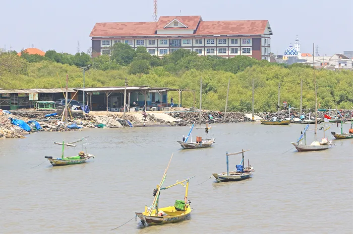 Pemkot Surabaya Tambah Alat Pantau Penurunan Tanah, Perbanyak Mangrove Cegah Intrusi Air Laut
