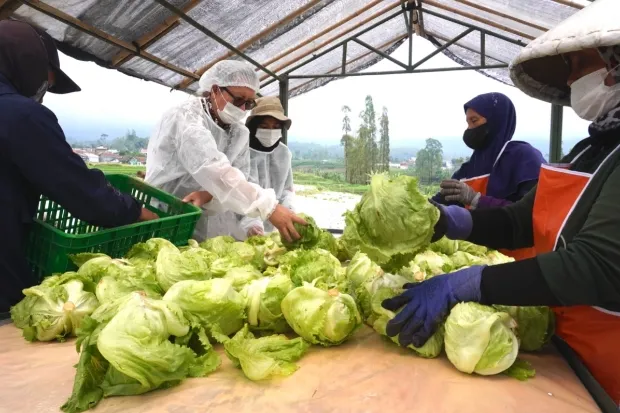 McDonald's Indonesia Ciptakan 330 Lapangan Kerja Tambahan untuk Setiap 100 Karyawan