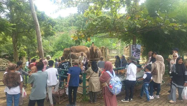 Promo Spesial Ramadan di Lembah Hijau Lampung: Tiket Masuk dan Paket Bukber Menarik