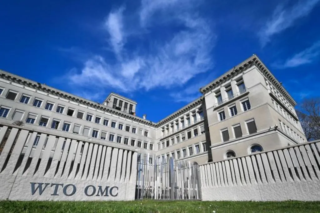 Indonesia Mendorong Anggota G20 untuk Mendukung Reformasi WTO demi Kepentingan Negara Berkembang