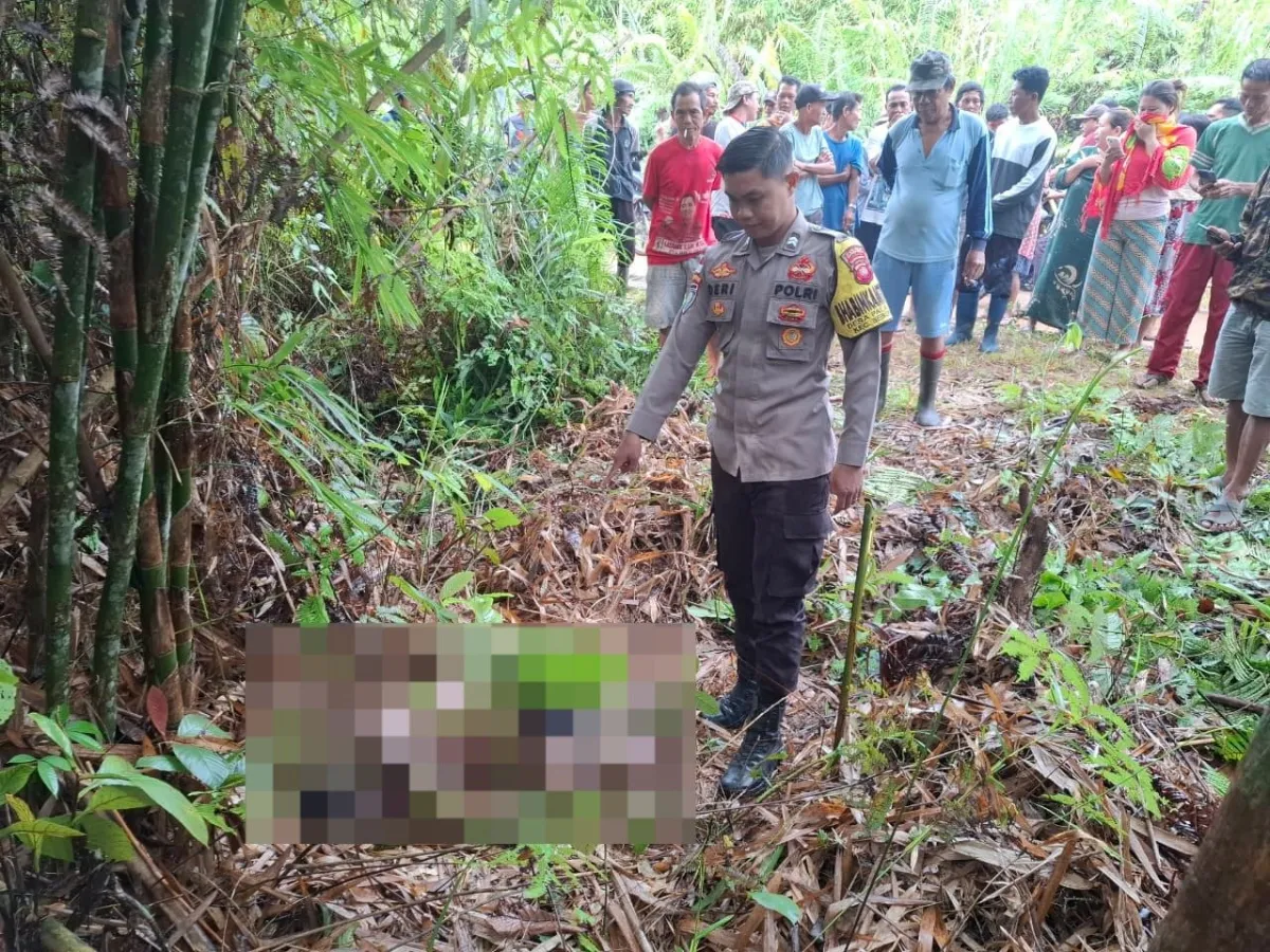AP Ditemukan Tewas di Jalan Poros Seberuang Diduga Minum Racun Rumput