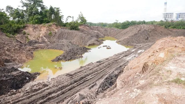 Pencabutan Izin 28 Perusahaan Tambang Terkait Isu Lingkungan
