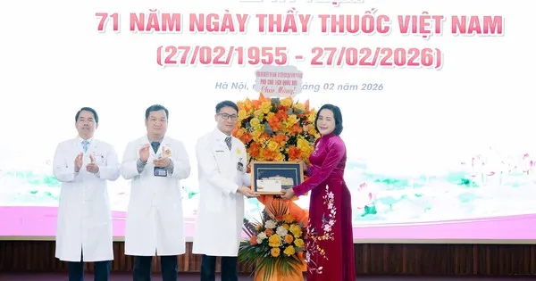 Wakil Ketua Majelis Nasional Apresiasi Inovasi Rumah Sakit E dan Institut Hematologi