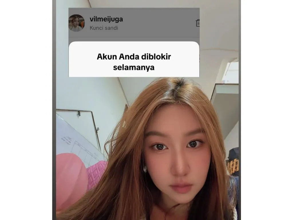 Akun TikTok Vilmei Diblokir Permanen, 68,8 Juta Pengikut Hilang