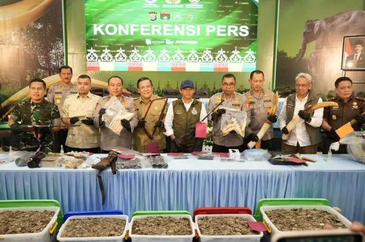 PT RAPP Diperiksa Setelah Pembantaian Gajah Sumatera di Konsesinya