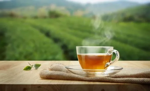 6 Jenis Teh Sehat untuk Mendukung Diet di Bulan Ramadan