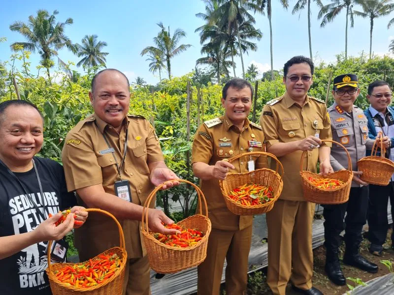 Jateng Ditetapkan Sebagai Sentra Cabai Nasional untuk Pengendalian Inflasi