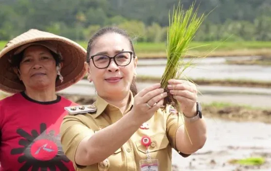Gerakan Tanam Padi Dukung Swasembada Pangan di Minahasa