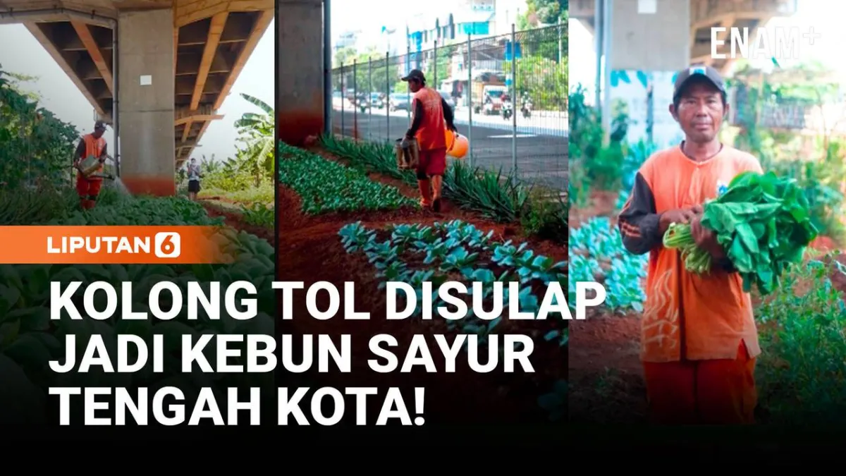 Kebun Sayur Kreatif di Kolong Tol Menghidupkan Ruang Perkotaan