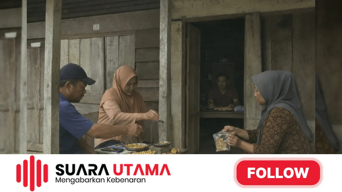 Dugaan Ateng Sebagai Penampung dan Pembakar Emas Ilegal di Desa Langling