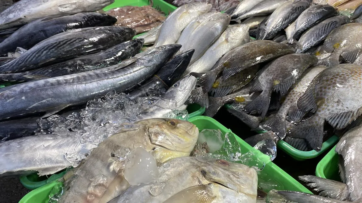 Kenaikan Harga Ikan Segar di Pasar Tradisional Akibat Cuaca Ekstrem