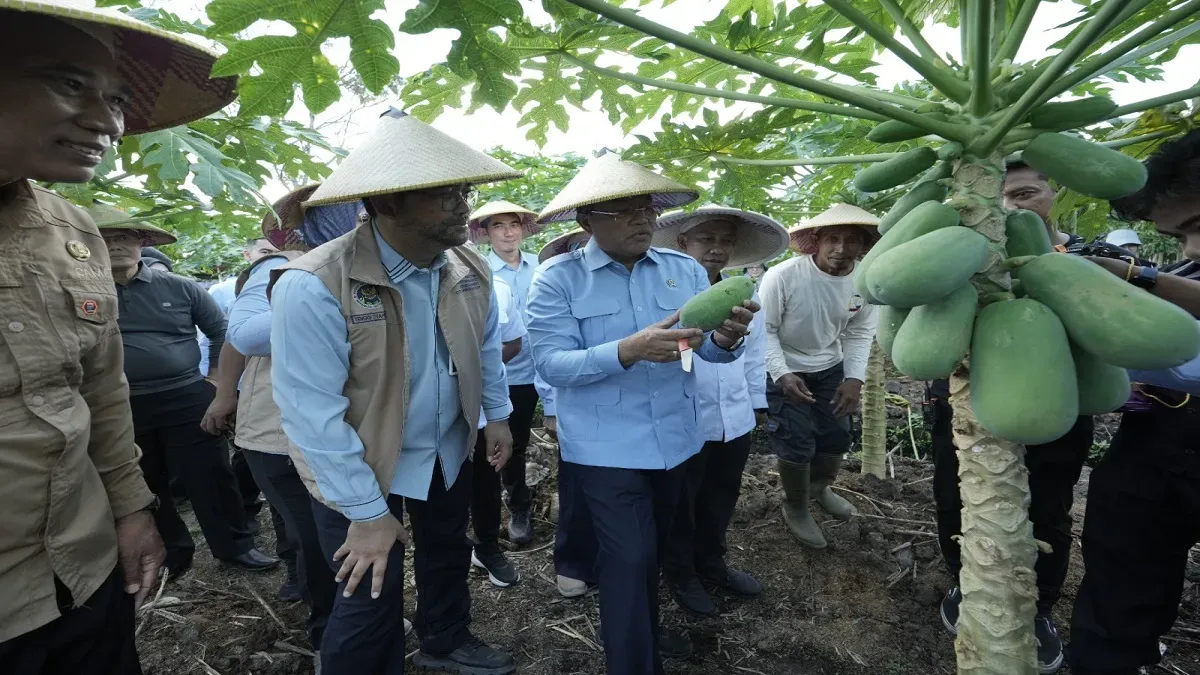 BGN Perkuat Sinergi Ekonomi Lokal untuk Dukung Program Makan Bergizi Gratis