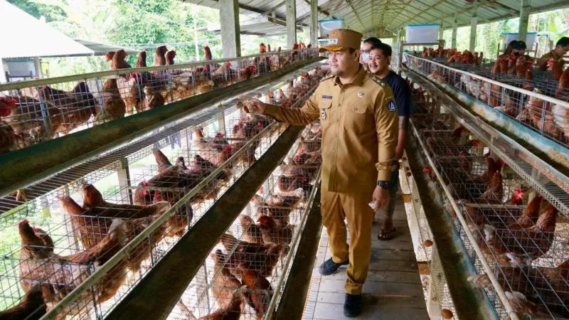 Pemantauan Sentra Produksi Pangan di Badung Jelang Hari Raya