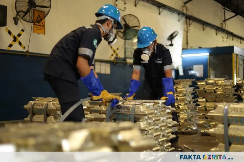 Kenaikan NIUJP PT TIMAH Tbk Berikan Harapan Baru bagi Penambang Rakyat