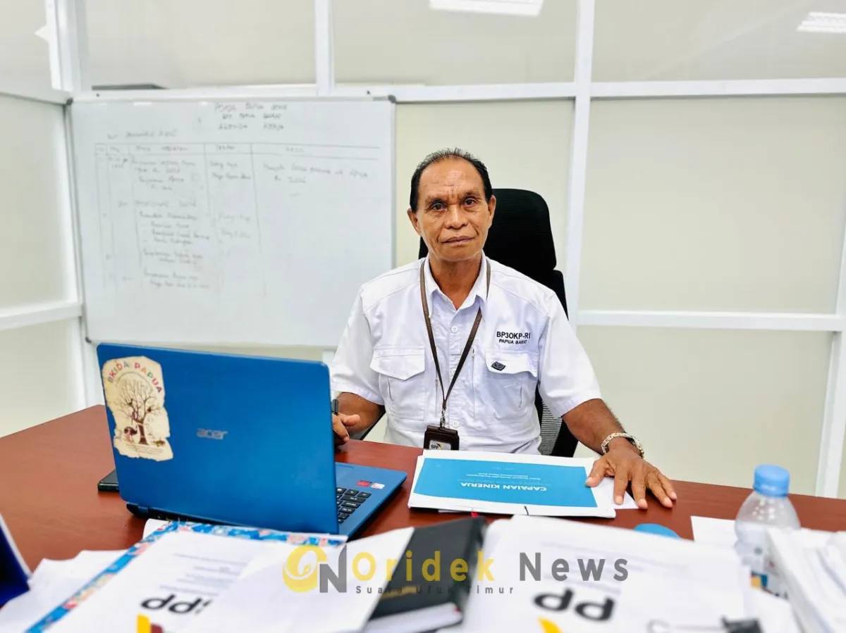 BP3OKP Desak Pemda Terapkan Anggaran Otsus 20% untuk Atasi Kesenjangan Nakes di Papua Barat
