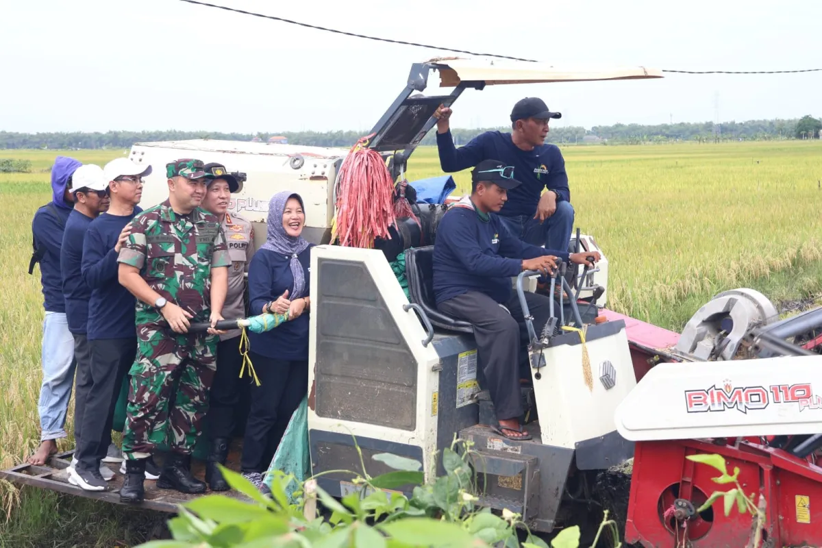 Bupati Bojonegoro Targetkan Padi Gamagora 7 Tingkatkan Produktivitas Nasional
