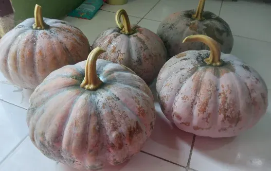 Labu Kuning: Menu Sehat Pilihan Selama Ramadan