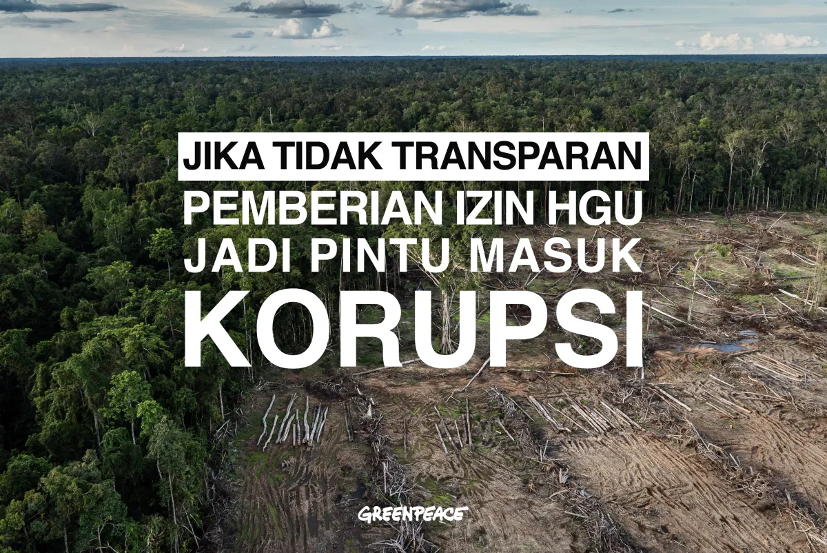 Keterbukaan Informasi HGU dan Potensi Korupsi di Sektor Kehutanan Indonesia