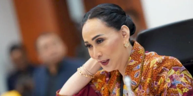 DPR Tegaskan TNI ke Gaza Hanya untuk Misi Kemanusiaan
