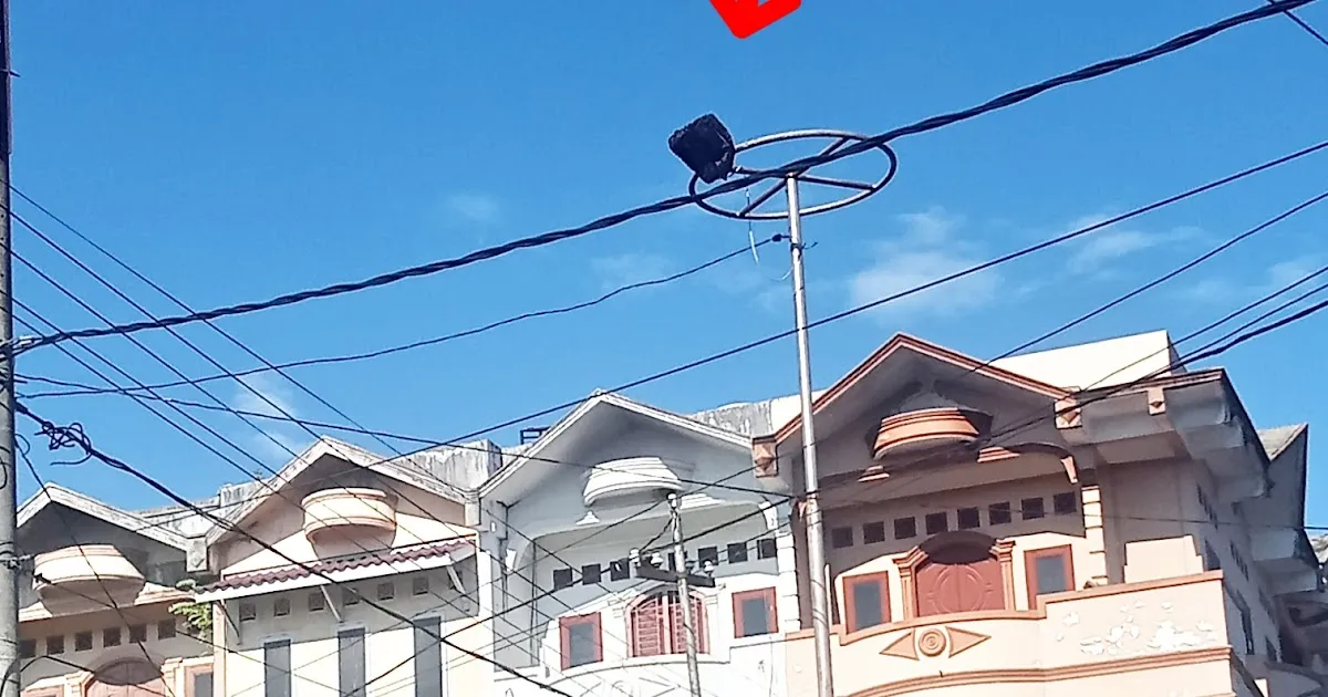 Keberadaan Sarang Lebah di Pusat Pasar Kota Padangsidimpuan Menjadi Sorotan Warga