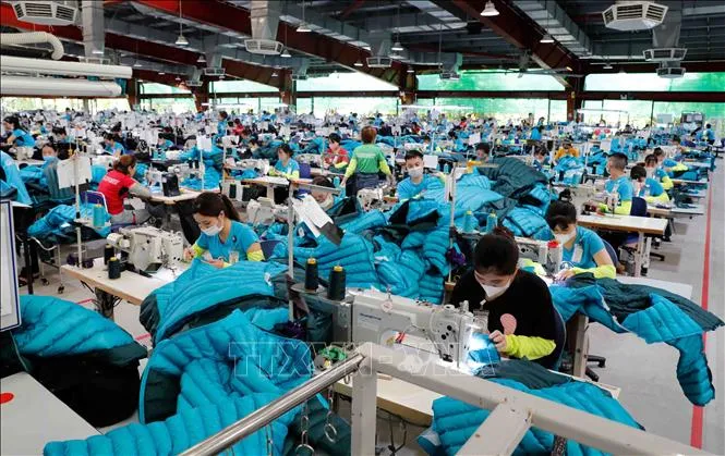 Industri Tekstil Vietnam Tingkatkan Standar Ramah Lingkungan untuk Ekspor Global