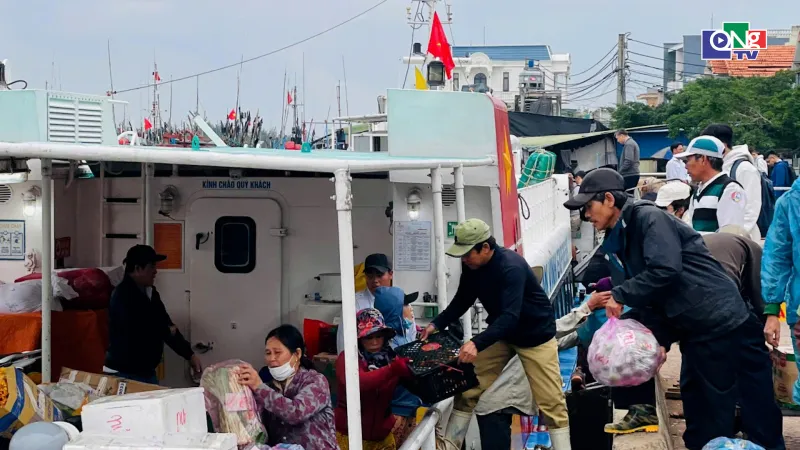 Pendapatan Transportasi dan Pergudangan Capai Hampir 980 Miliar VND di Januari 2026