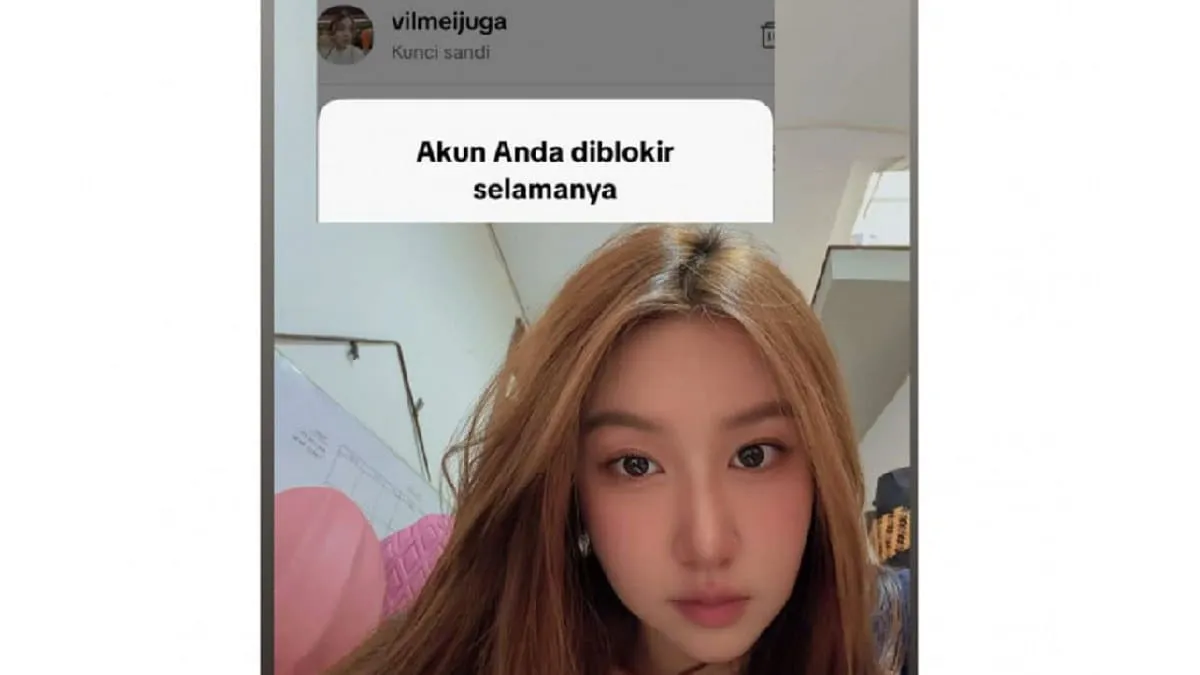 Akun TikTok Vilmei Hilang Permanen, Penggemar dan Kreator Berikan Dukungan