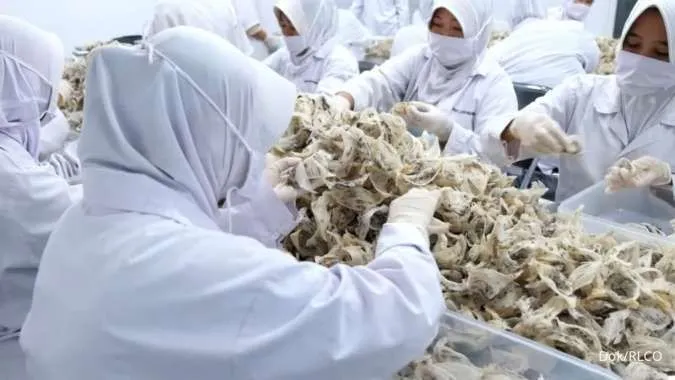 PT Abadi Lestari Indonesia Tbk Luncurkan Usaha Baru di Sektor Perikanan