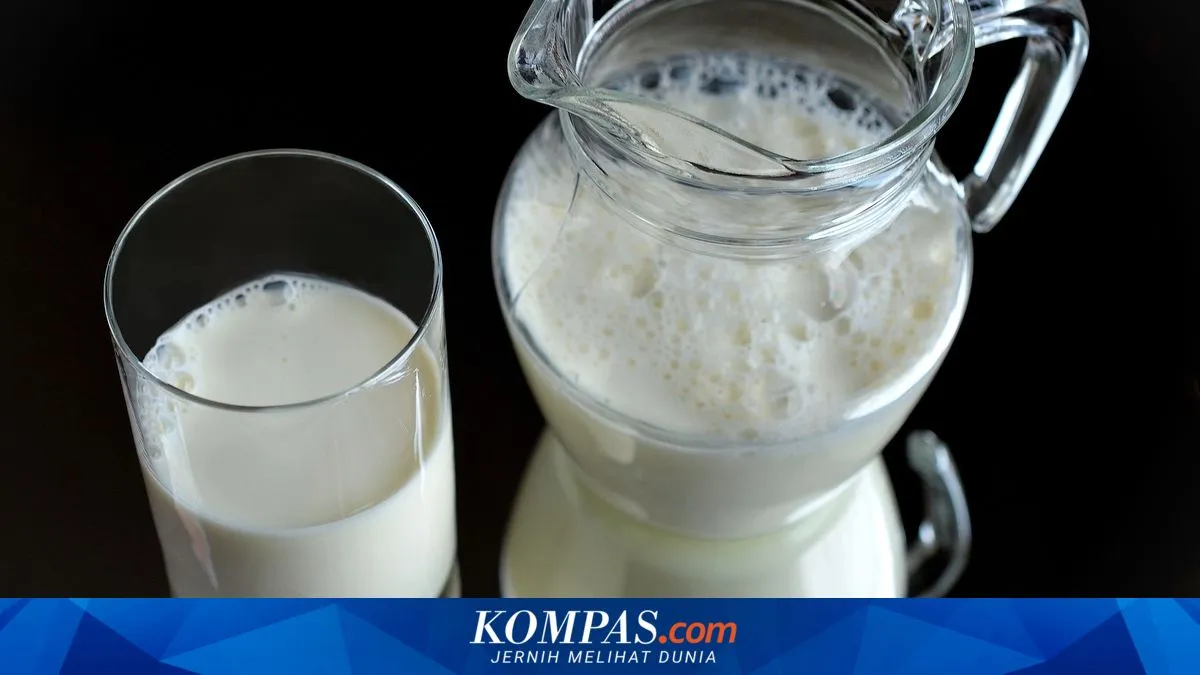 Fakta Penting tentang Susu Sapi yang Perlu Diketahui