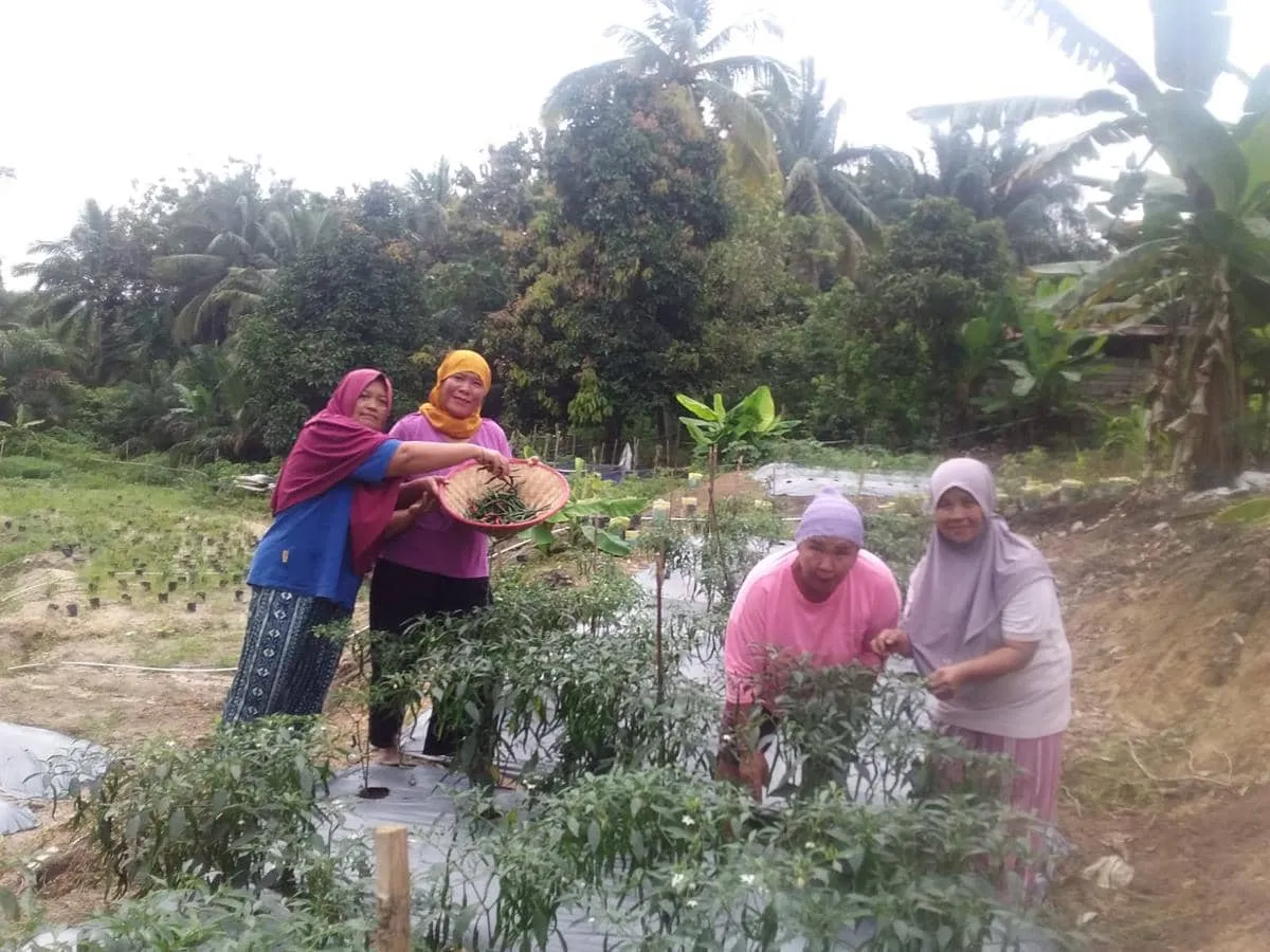 Perempuan Tanjung Karangan Tingkatkan Ketahanan Pangan Lewat Urban Farming