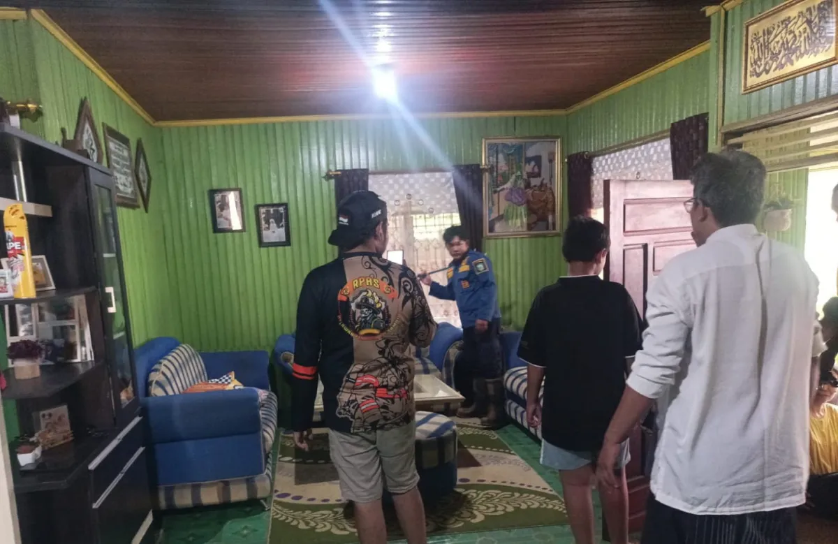 Warga Samuda Resah, King Cobra Masuk Rumah dan Menghilang