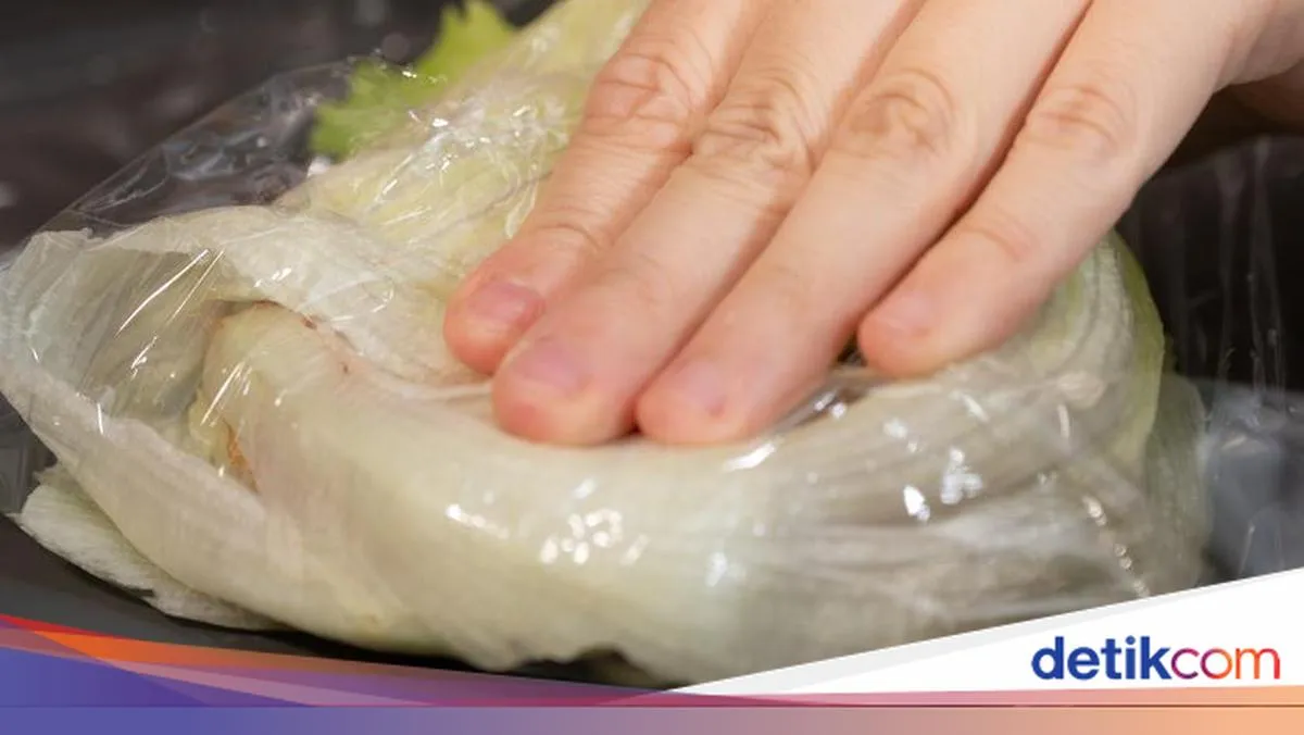 Tren Diet Ekstrem 'Makan Plastik' Viral, Ahli Kesehatan Ingatkan Bahaya