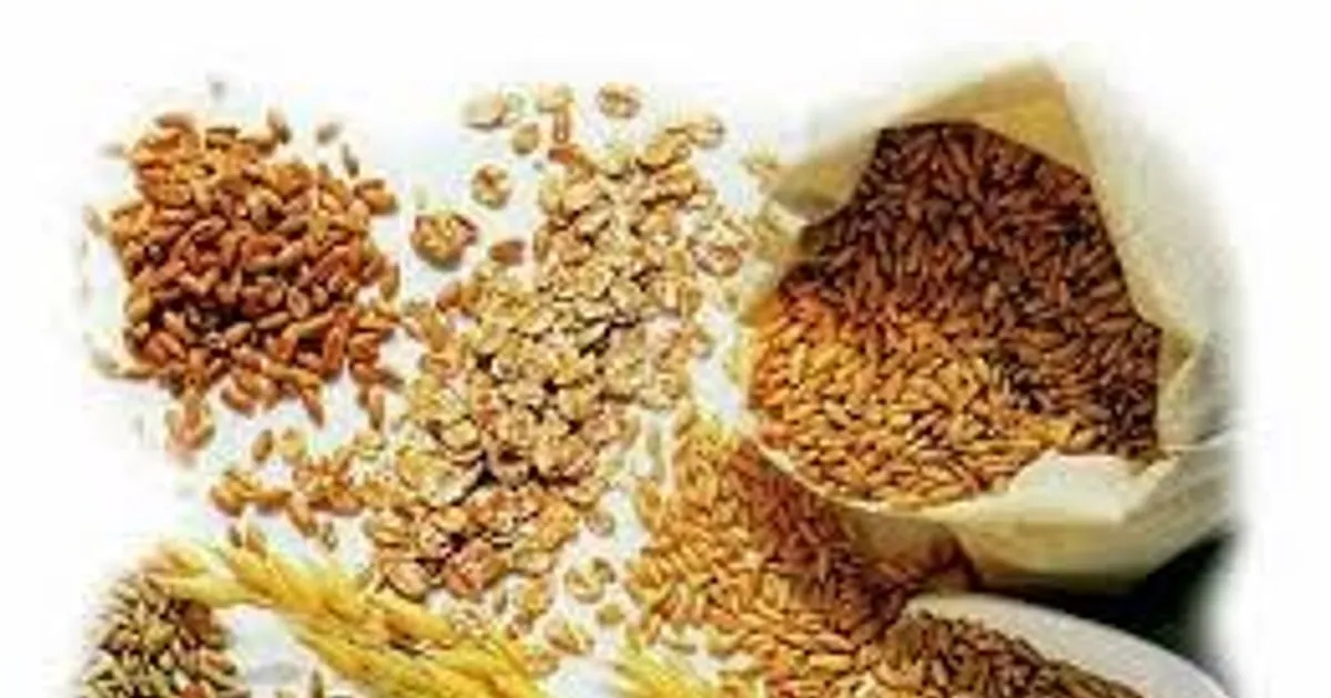 Harga Kedelai CBOT Capai Puncak Tertinggi Tiga Bulan, Didukung Permintaan Biofuel dan Tiongkok