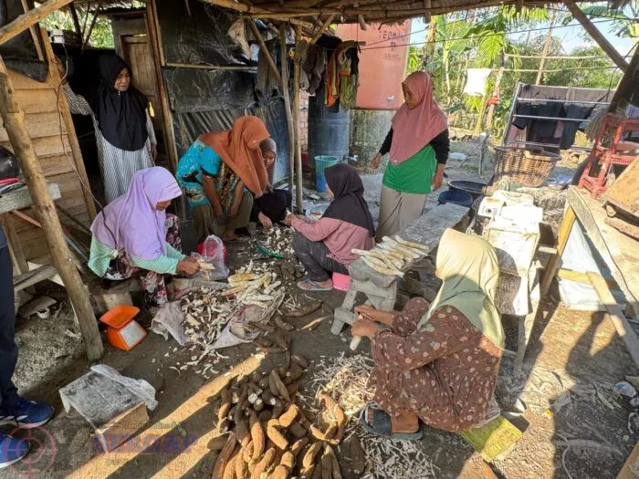 Mocaf: Transformasi Singkong Jadi Peluang Ekonomi di Desa Simpang Bayat