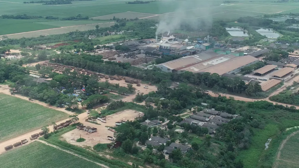 Pemerintah Cabut HGU 85 Ribu Hektare Kebun Tebu Sugar Group