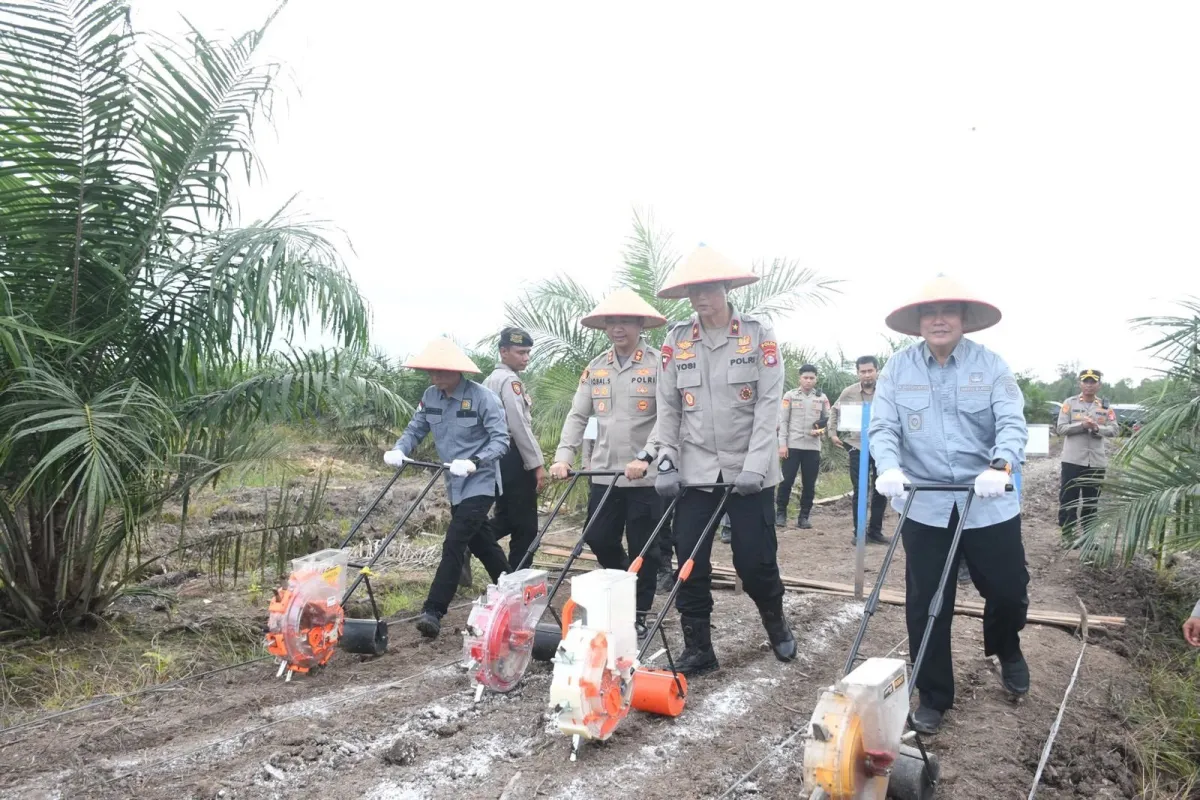 Kapolres Pulang Pisau Dukung Ketahanan Pangan Lewat Tanam Jagung Bersama Kapolda