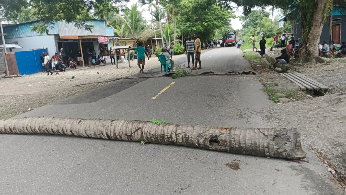 Warga Palang Jalan Poros Mapurujaya–Poumako Setelah Pembunuhan Empat Ekor Anjing