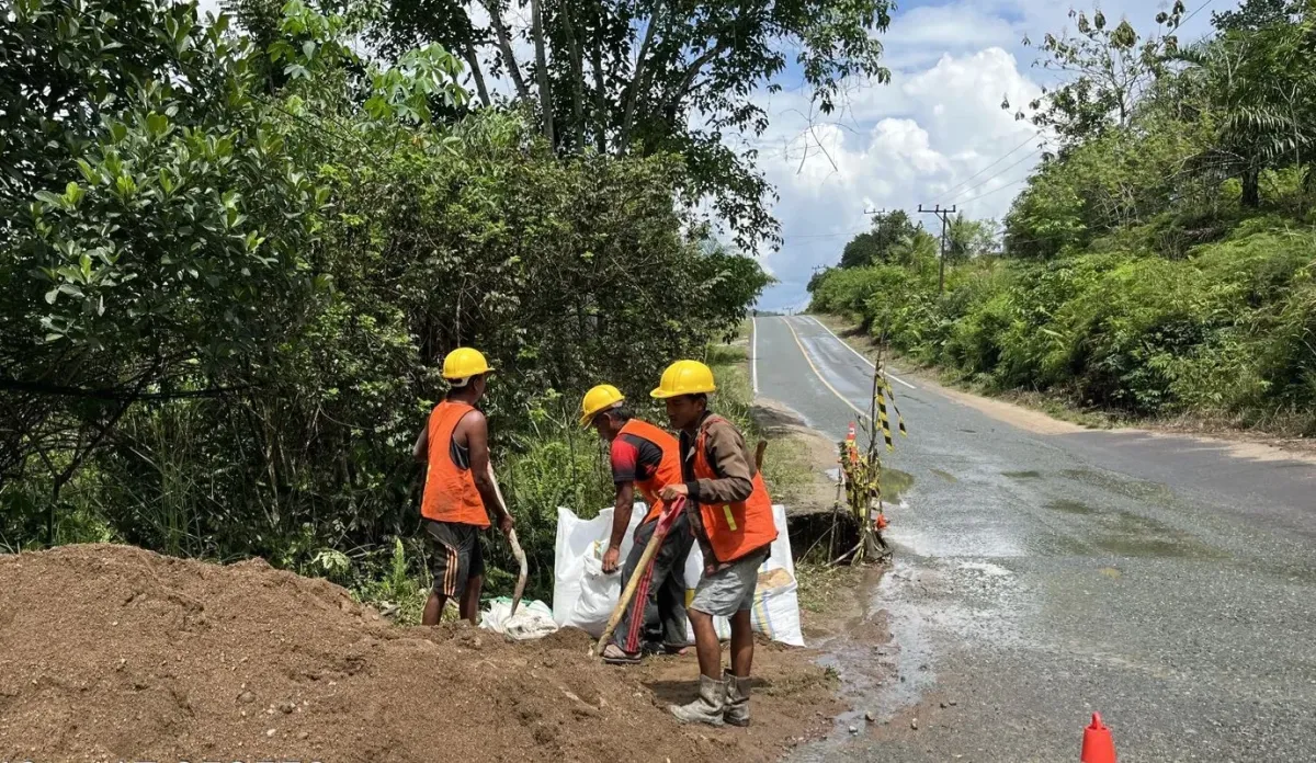 Perbaikan Jalan Poros Labanan–Batas Bulungan Dikebut, Fokus pada Jalan Rusak dan Longsor