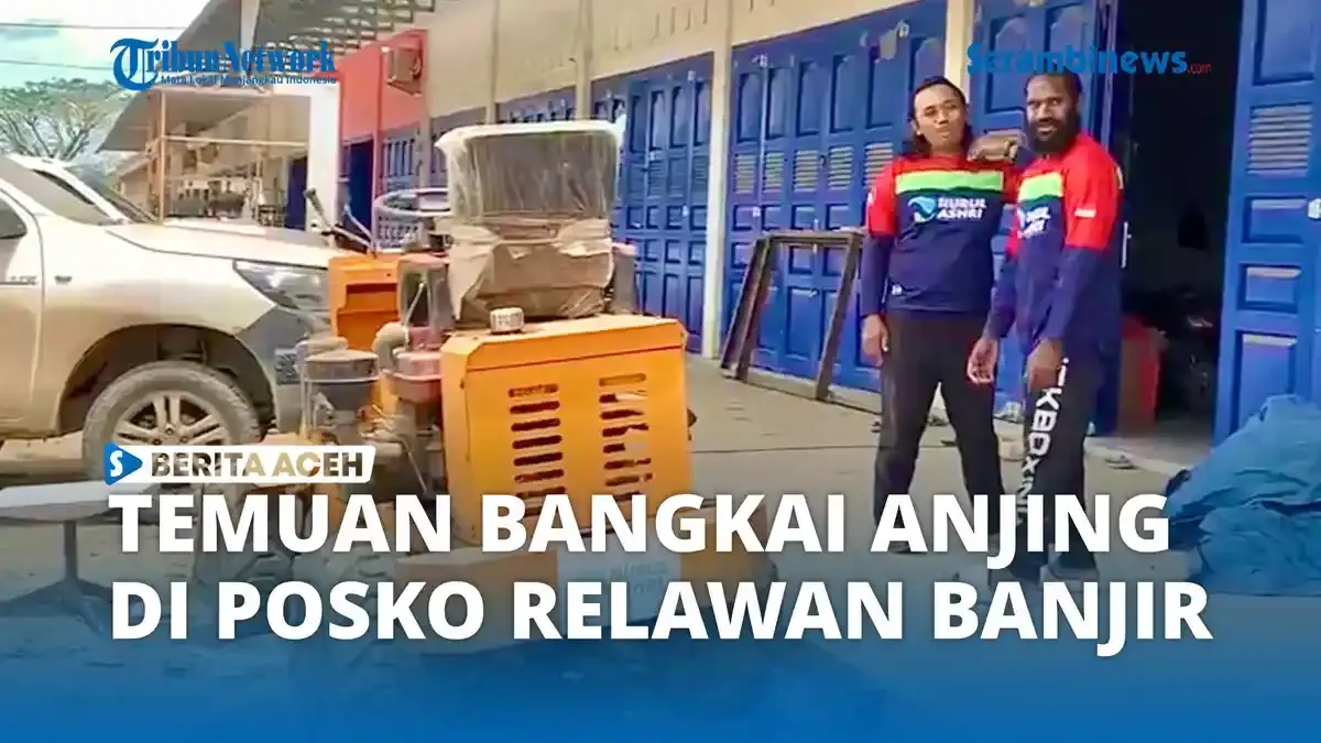 Relawan Banjir Diteror dengan Penemuan Bangkai Anjing di Aceh Tamiang