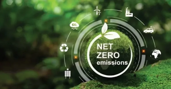 Net Zero: Kunci Bertahan Bisnis di Era Ekonomi Hijau