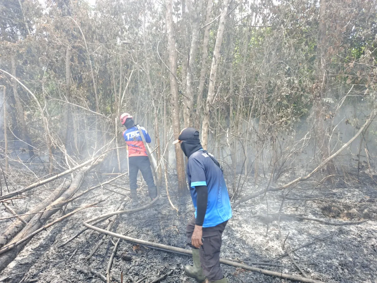 Kebakaran Hutan dan Lahan di Bengkuang Makmur Berhasil Dipadamkan