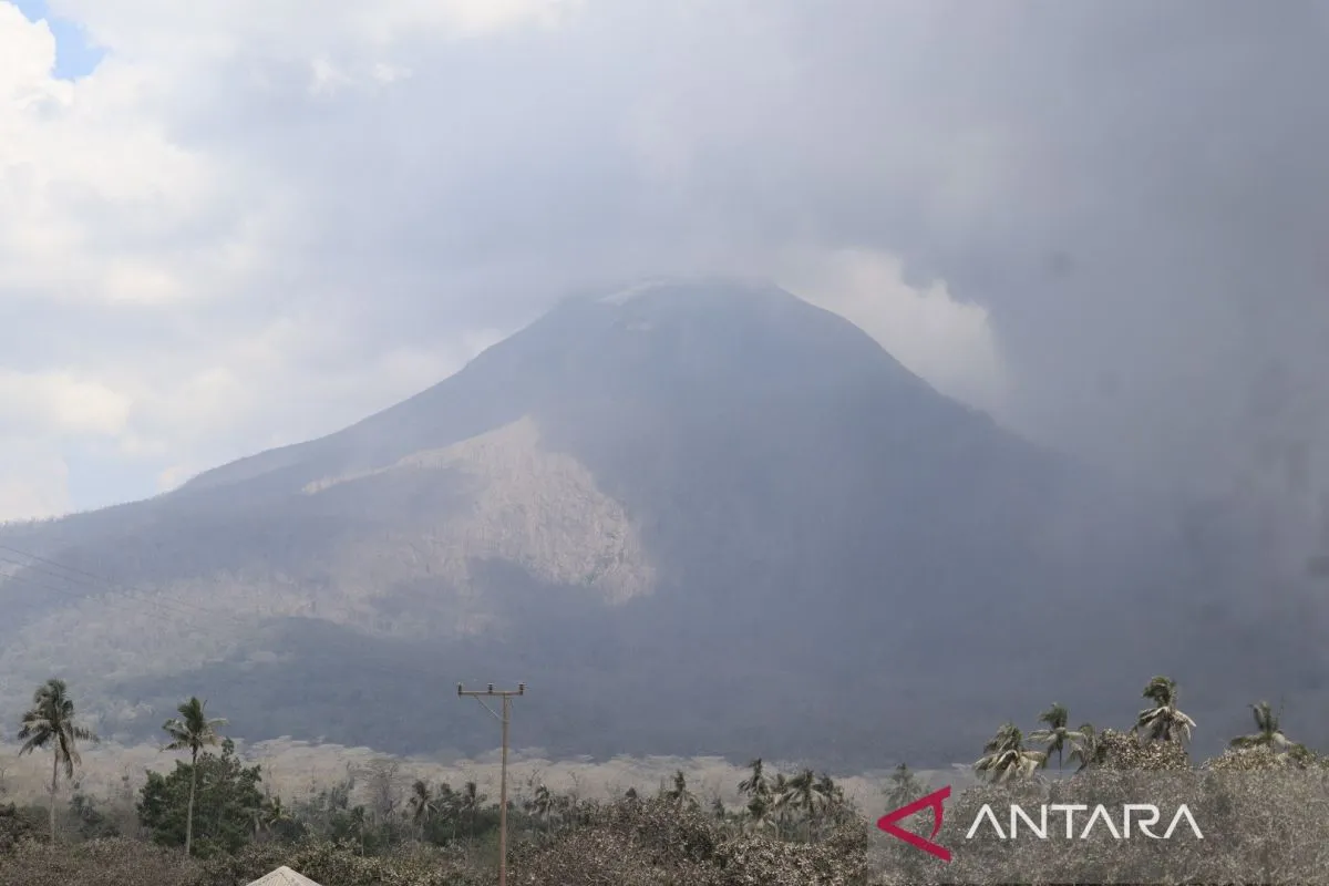 Gunung Lewotobi Meletus, Warga Diminta Jauhi Pusat Erupsi