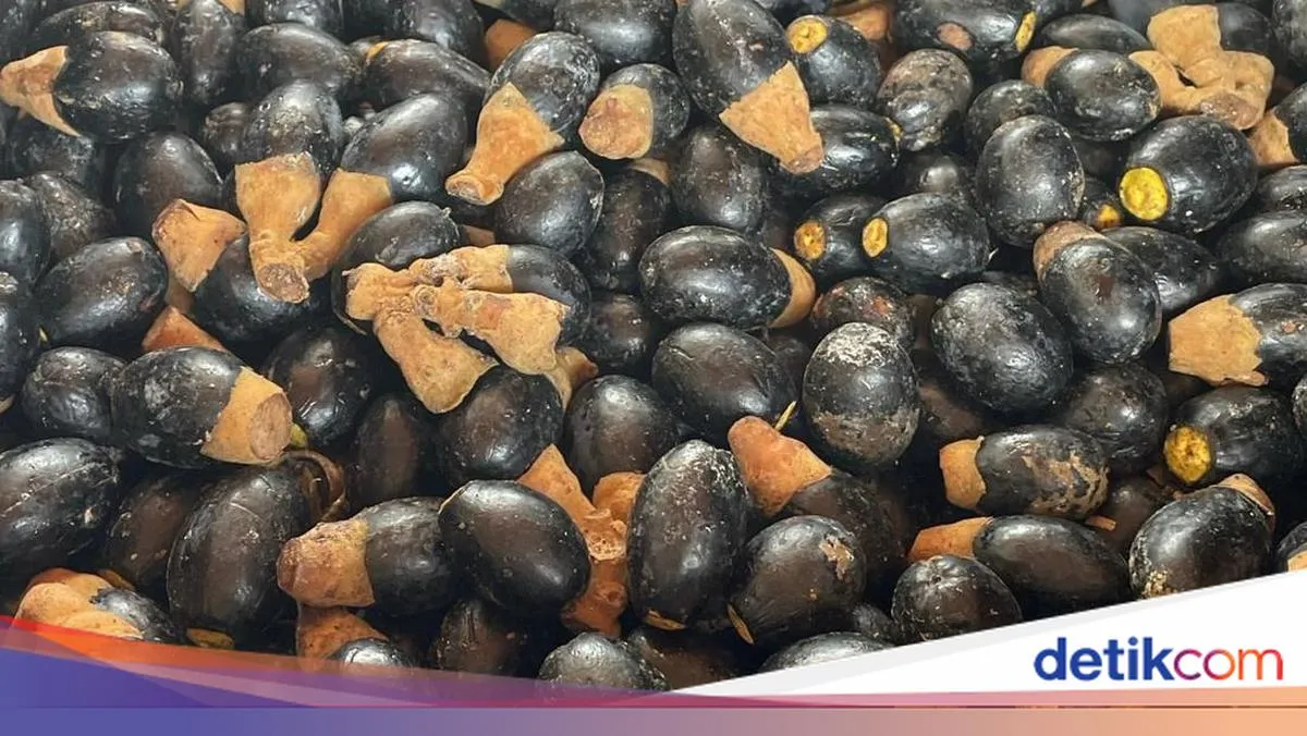 Hutan Khas Kalbar Sukses Menembus Pasar Internasional