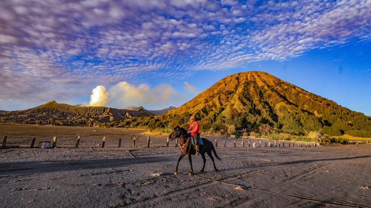 Polres Probolinggo Bentuk Tim Khusus untuk Selidiki Hilangnya Tujuh Koper Wisatawan Thailand di Gunung Bromo