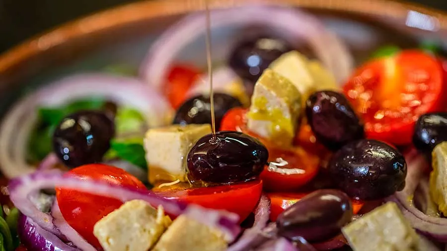 Diet Vegetarian Turunkan Risiko Kanker, Vegan Justru Berisiko Lebih Tinggi