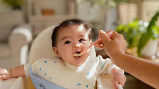 Tips Persiapan MPASI Pertama Bayi Saat Mudik Lebaran 2026