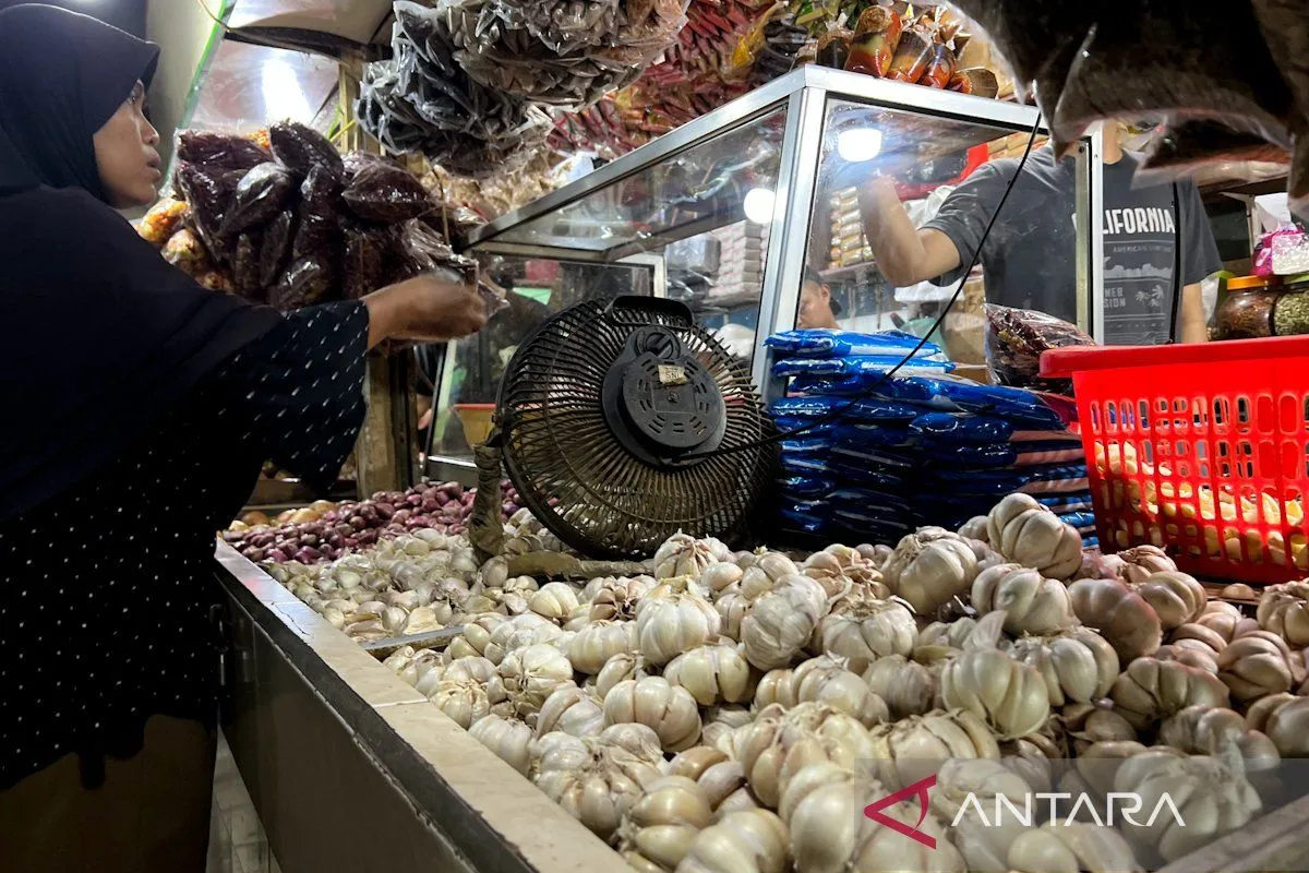 Bapanas Ajak Importir Stabilkan Harga Bawang Putih Jelang Ramadhan