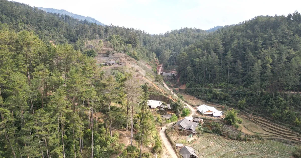 Peran Masyarakat dalam Melestarikan Hutan di Hulu Sungai