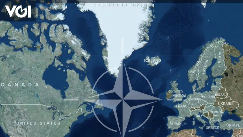 OpenAI Pertimbangkan Kerja Sama dengan NATO Setelah Kesepakatan dengan Pentagon
